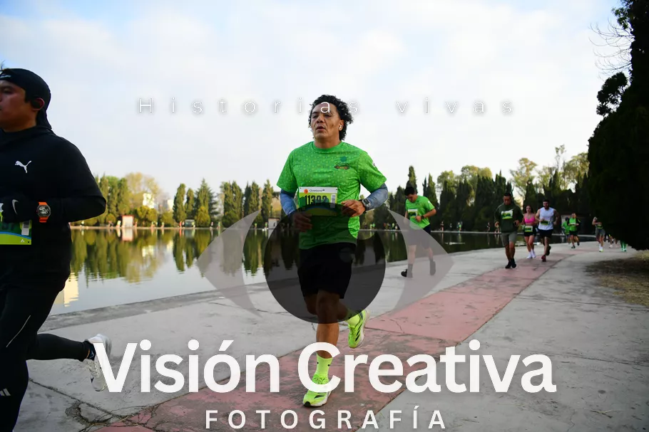 Foto del evento Shrek - CDMX 2026