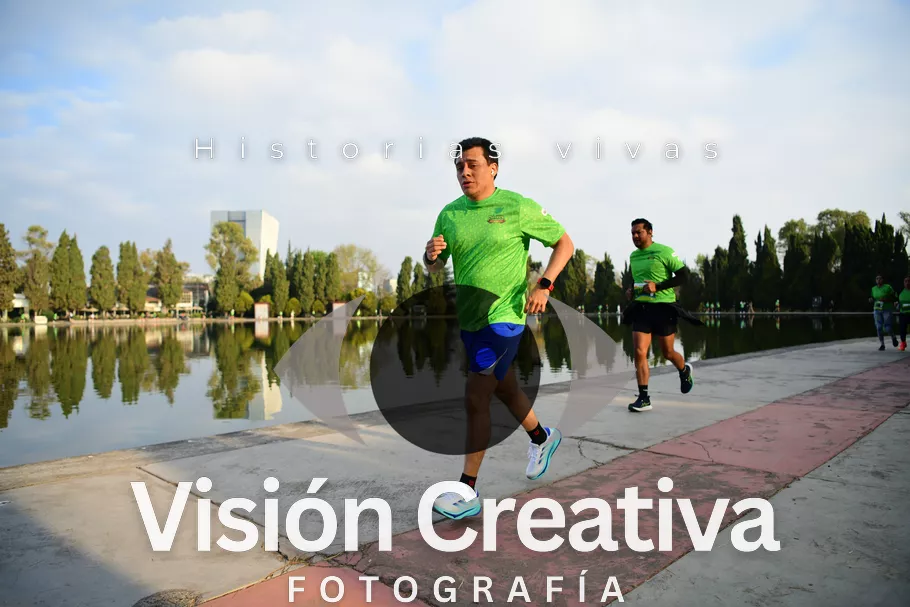Foto del evento Shrek - CDMX 2026