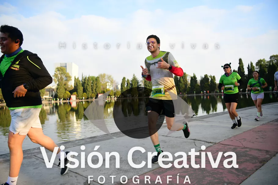 Foto del evento Shrek - CDMX 2026