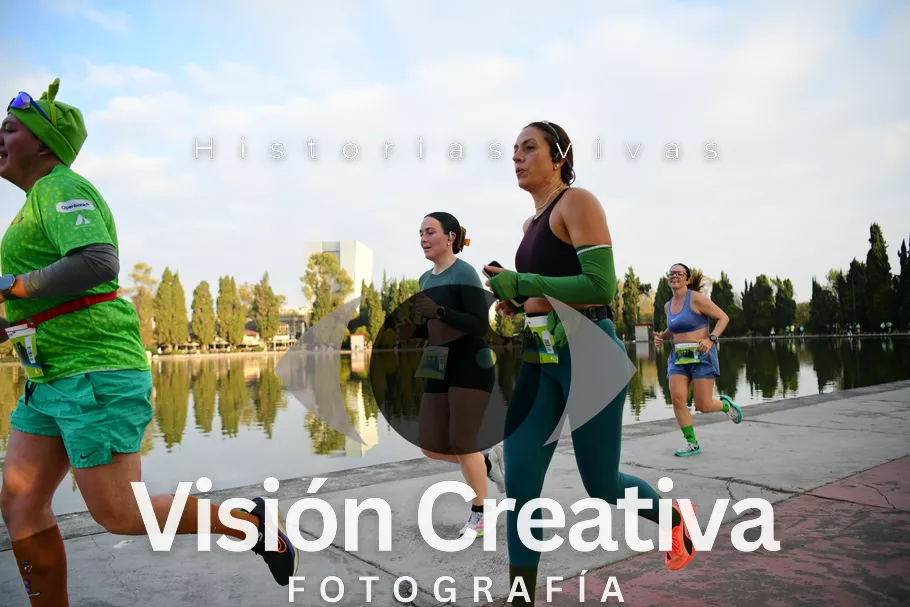 Foto del evento Shrek - CDMX 2026
