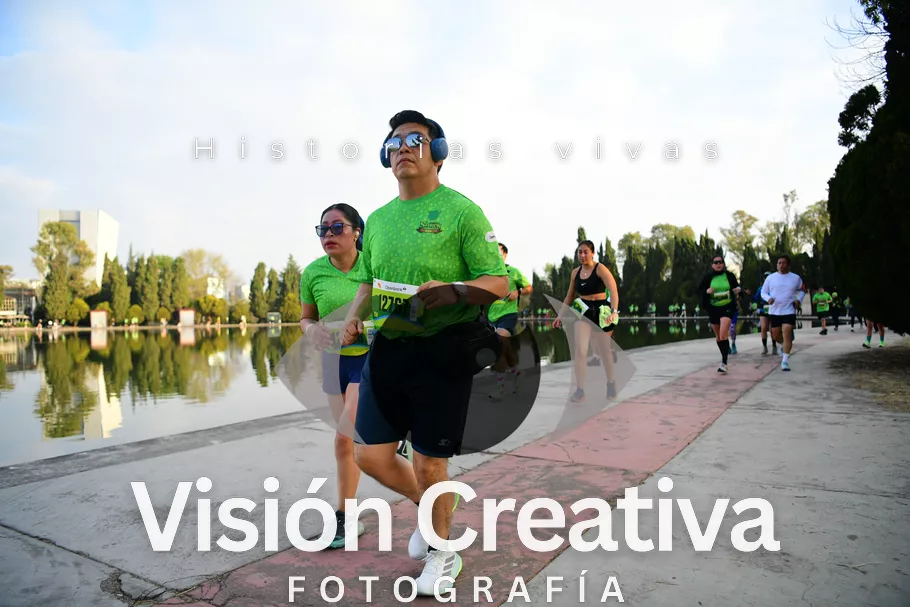 Foto del evento Shrek - CDMX 2026