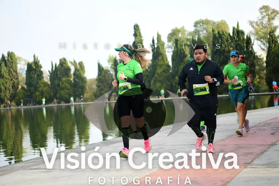 Foto del evento Shrek - CDMX 2026