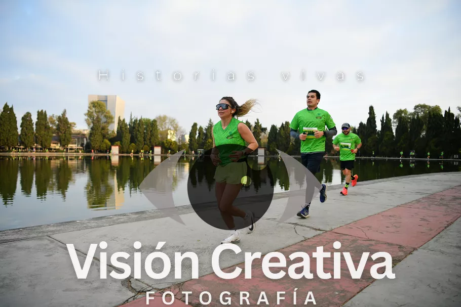 Foto del evento Shrek - CDMX 2026