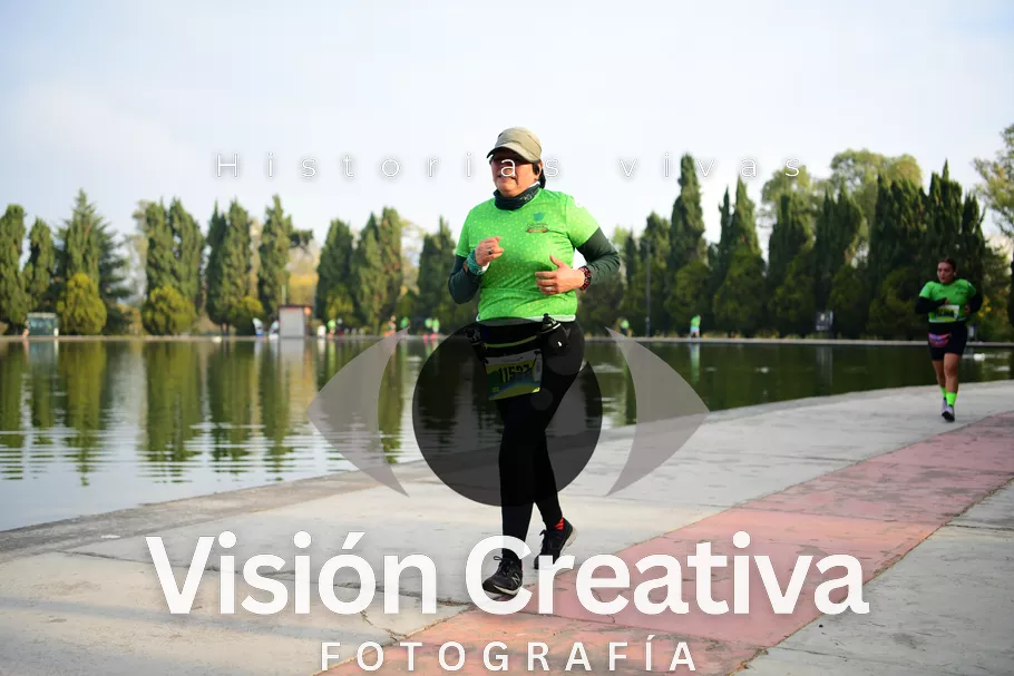 Foto del evento Shrek - CDMX 2026