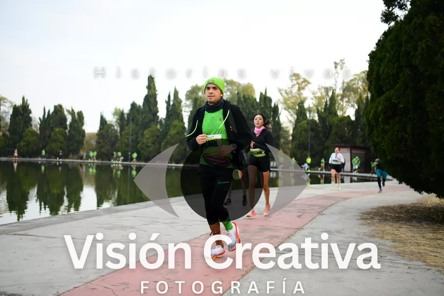 Foto del evento Shrek - CDMX 2026