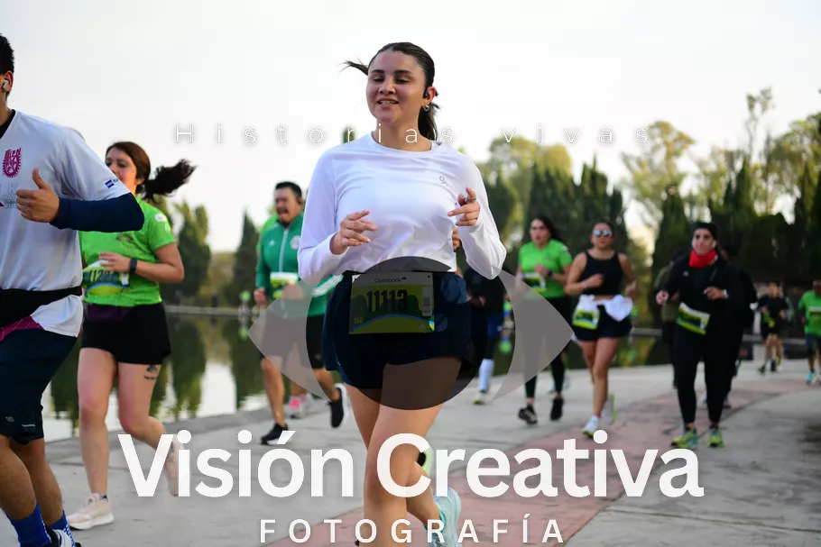 Foto del evento Shrek - CDMX 2026