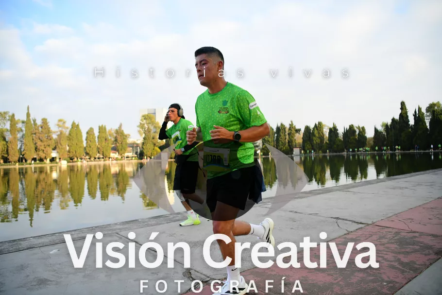 Foto del evento Shrek - CDMX 2026