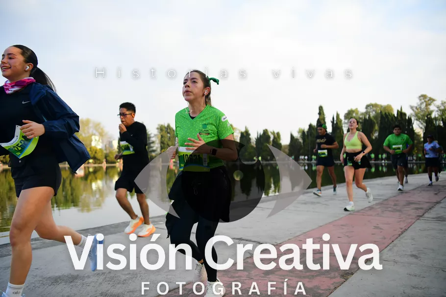 Foto del evento Shrek - CDMX 2026