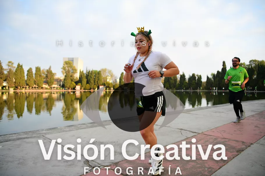 Foto del evento Shrek - CDMX 2026