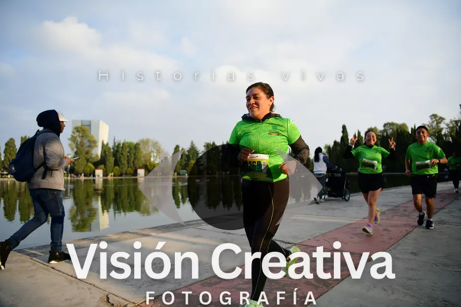 Foto del evento Shrek - CDMX 2026