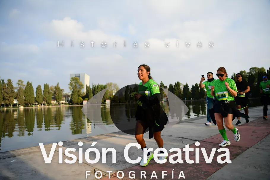 Foto del evento Shrek - CDMX 2026