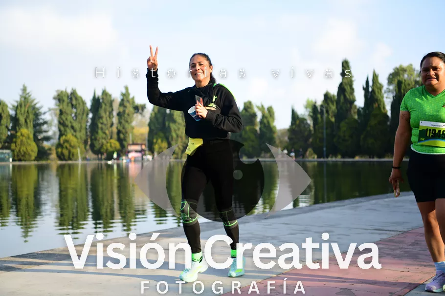 Foto del evento Shrek - CDMX 2026