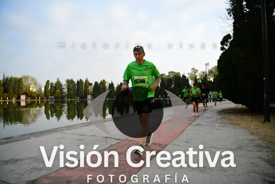 Foto del evento Shrek - CDMX 2026