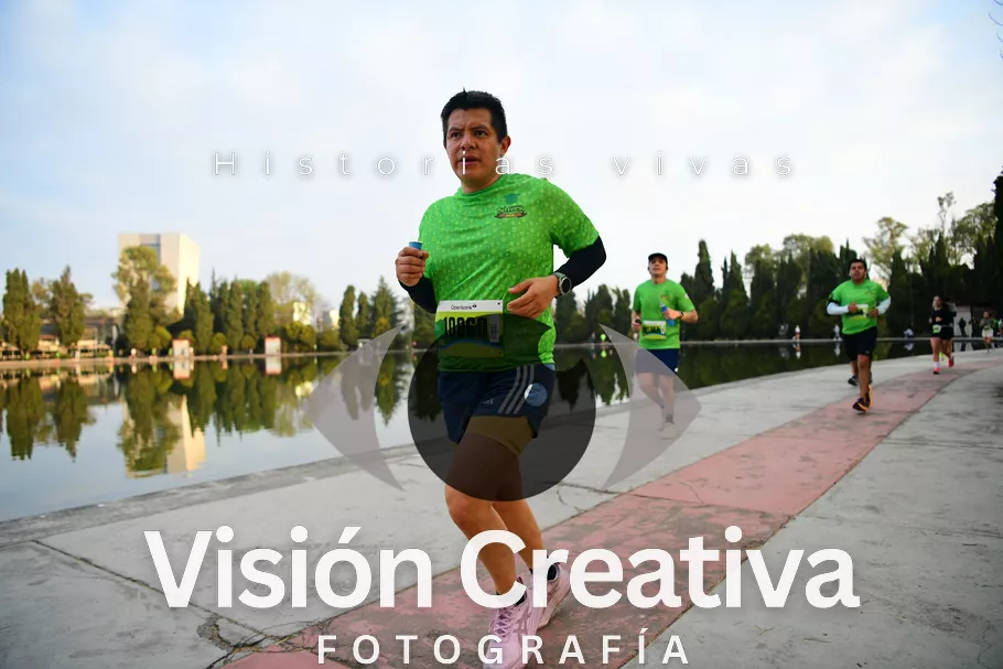 Foto del evento Shrek - CDMX 2026
