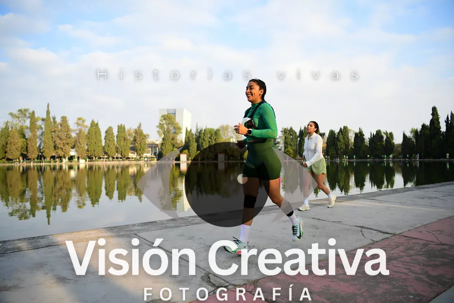 Foto del evento Shrek - CDMX 2026