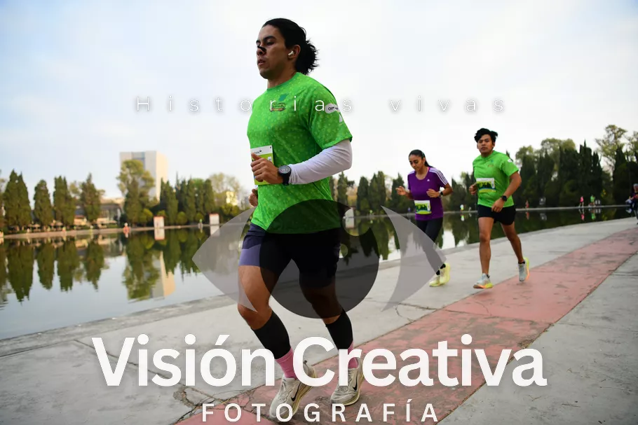 Foto del evento Shrek - CDMX 2026