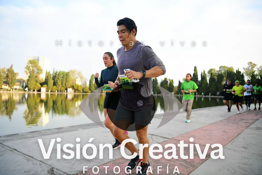 Foto del evento Shrek - CDMX 2026