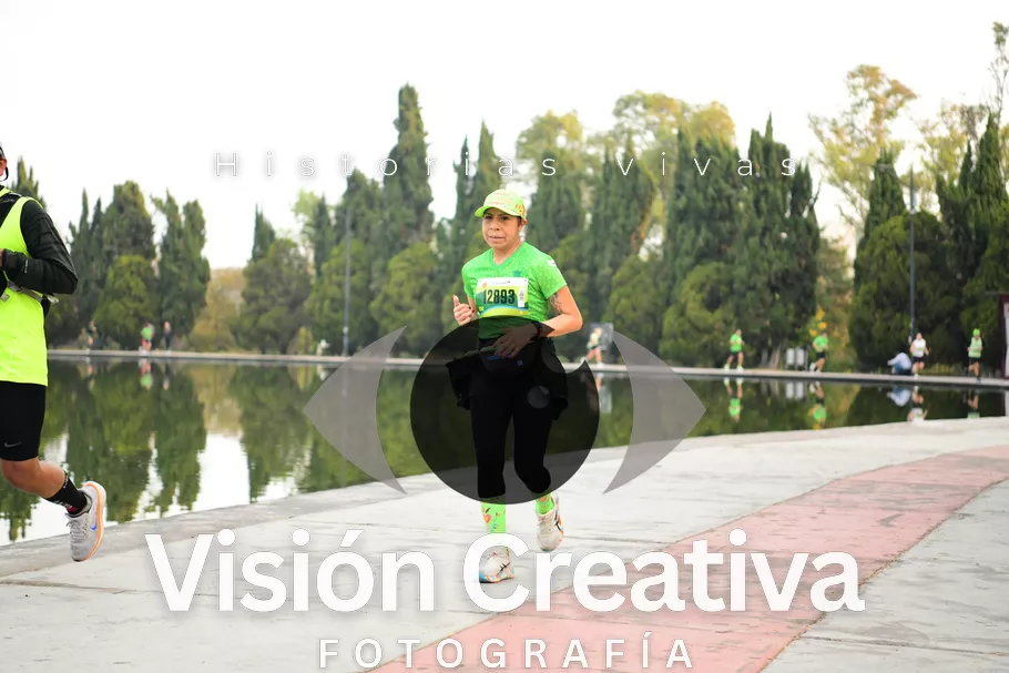 Foto del evento Shrek - CDMX 2026