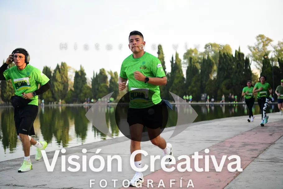 Foto del evento Shrek - CDMX 2026