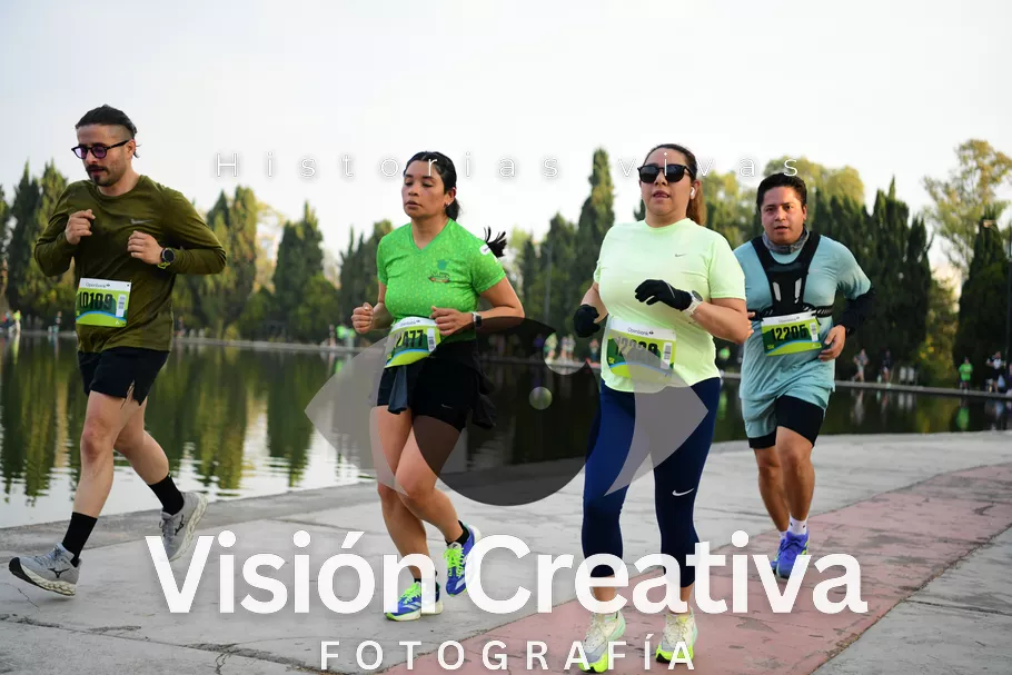 Foto del evento Shrek - CDMX 2026