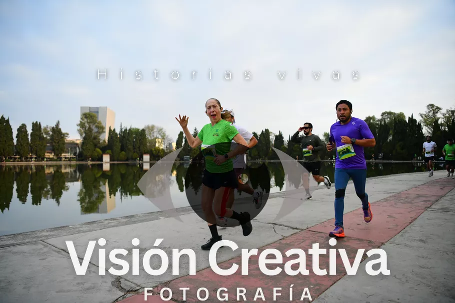 Foto del evento Shrek - CDMX 2026