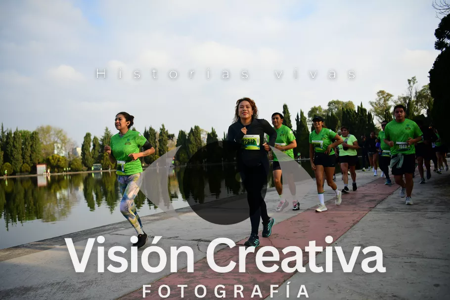 Foto del evento Shrek - CDMX 2026