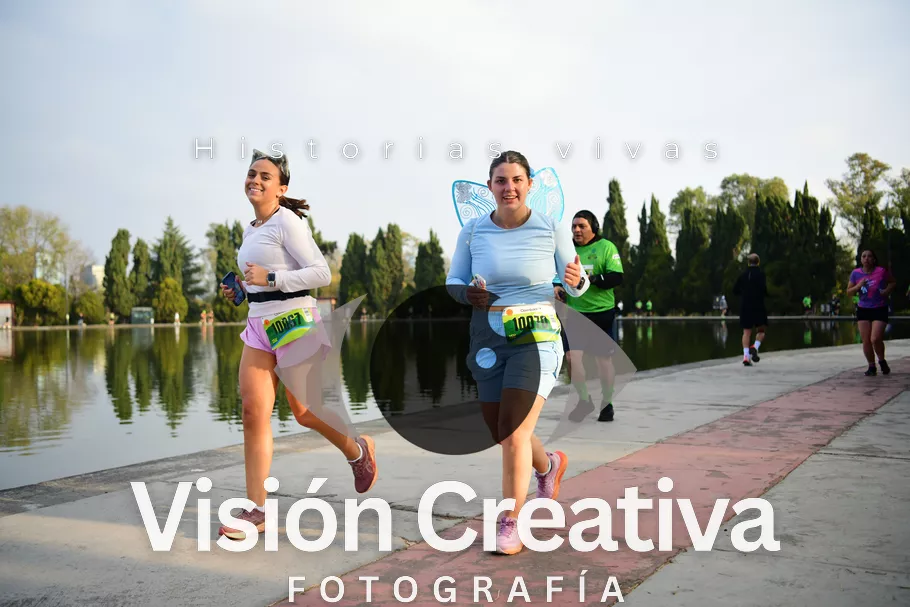 Foto del evento Shrek - CDMX 2026