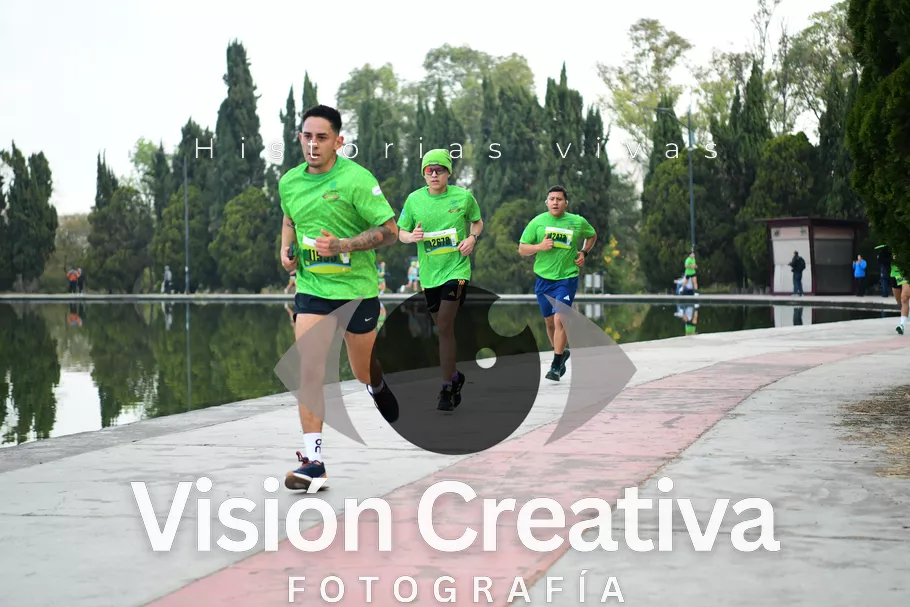 Foto del evento Shrek - CDMX 2026