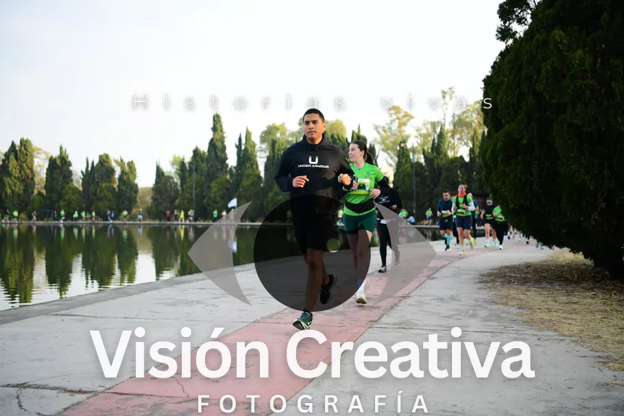 Foto del evento Shrek - CDMX 2026