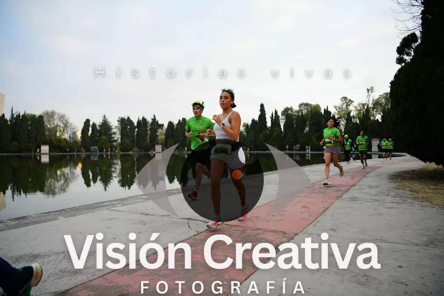 Foto del evento Shrek - CDMX 2026