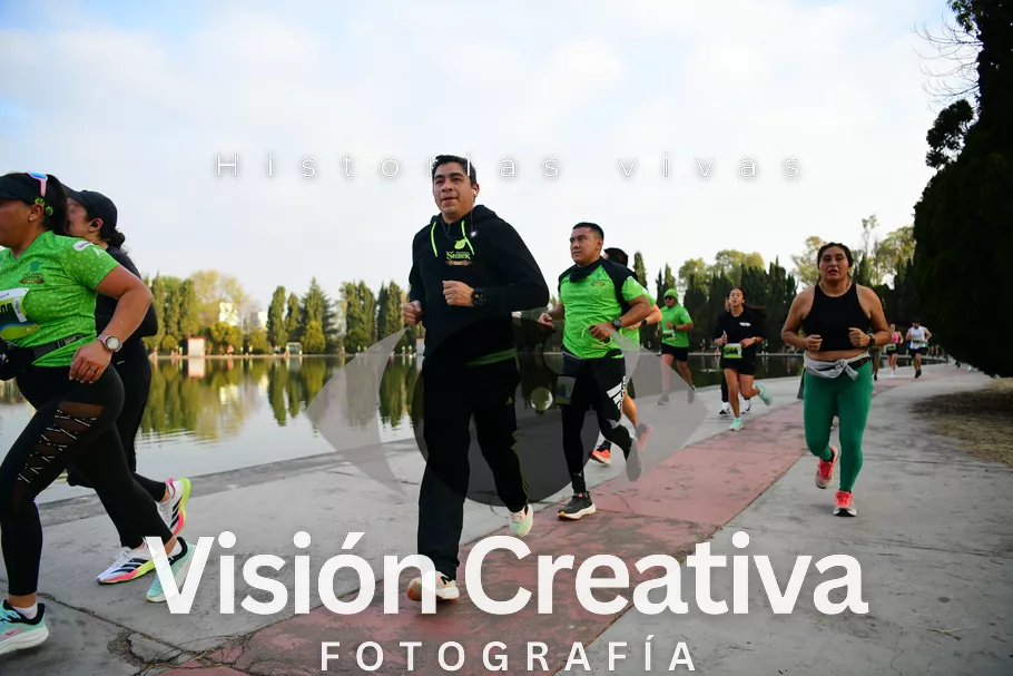 Foto del evento Shrek - CDMX 2026