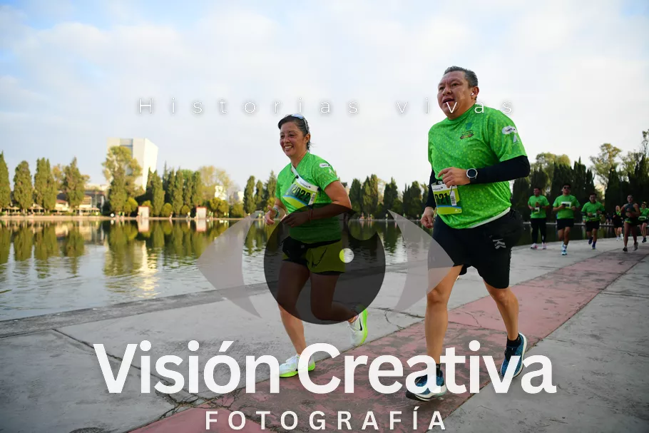 Foto del evento Shrek - CDMX 2026