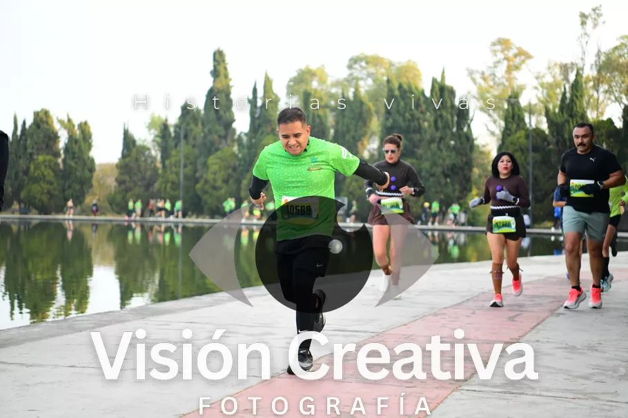 Foto del evento Shrek - CDMX 2026