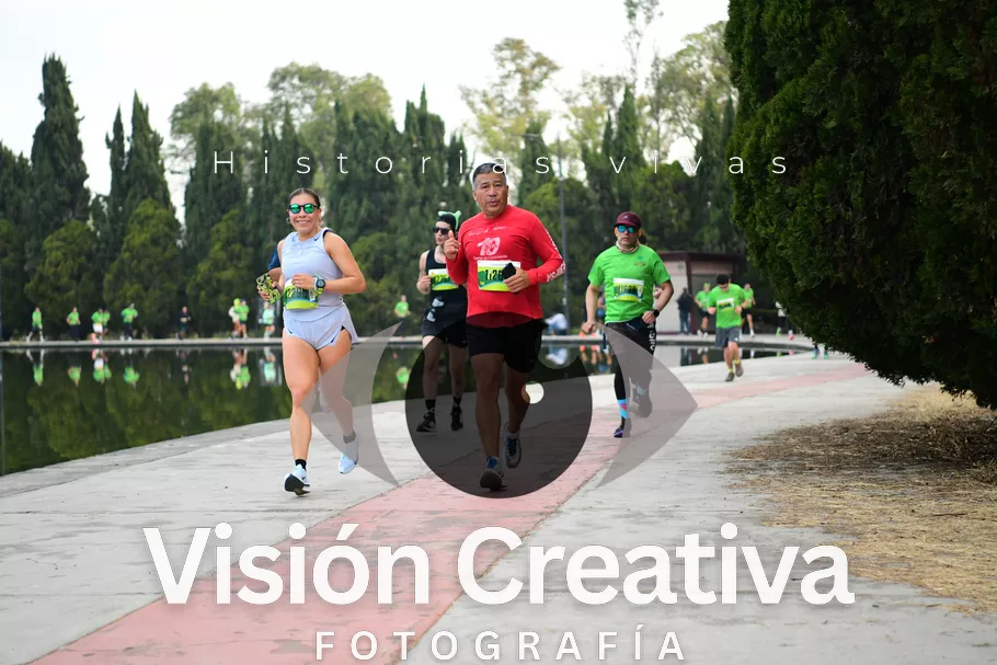 Foto del evento Shrek - CDMX 2026