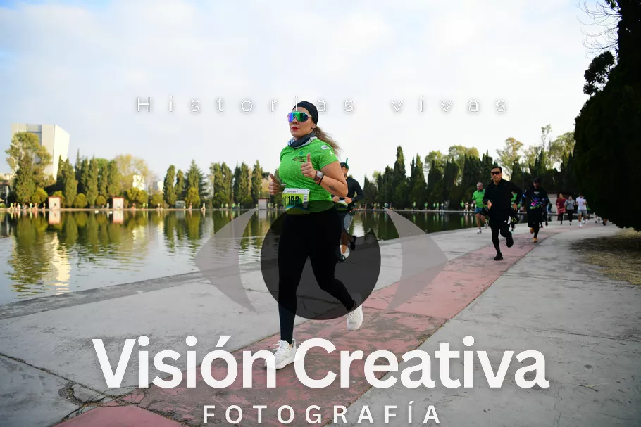 Foto del evento Shrek - CDMX 2026