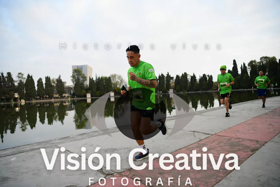 Foto del evento Shrek - CDMX 2026