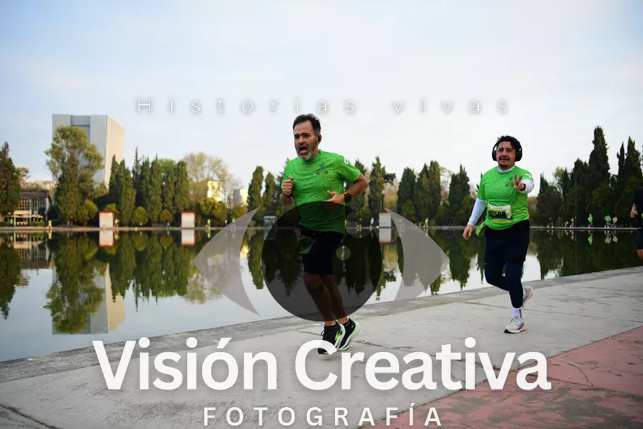 Foto del evento Shrek - CDMX 2026