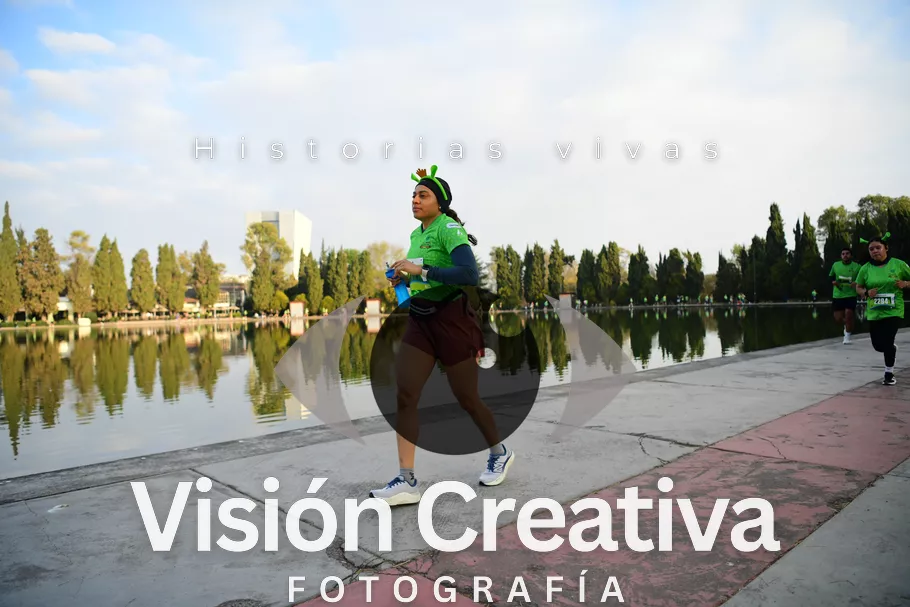 Foto del evento Shrek - CDMX 2026