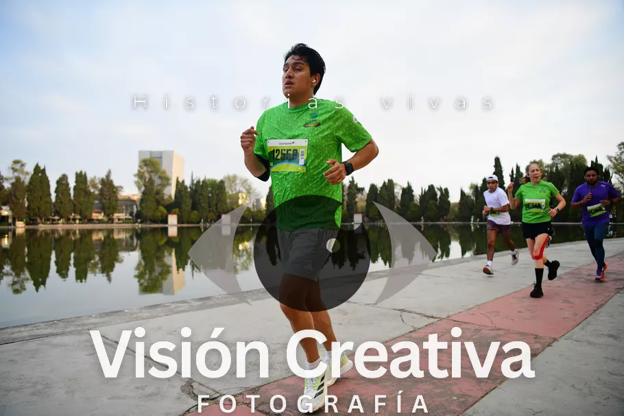 Foto del evento Shrek - CDMX 2026