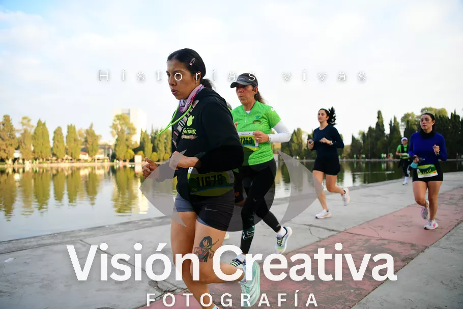 Foto del evento Shrek - CDMX 2026