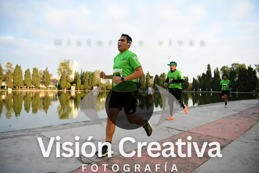 Foto del evento Shrek - CDMX 2026
