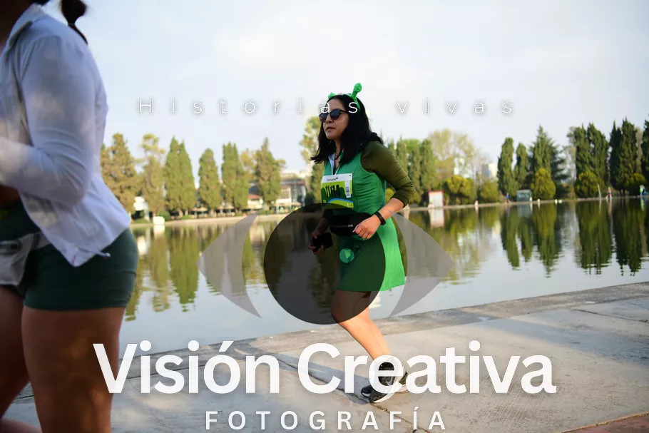 Foto del evento Shrek - CDMX 2026