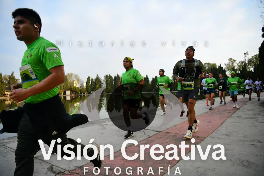 Foto del evento Shrek - CDMX 2026