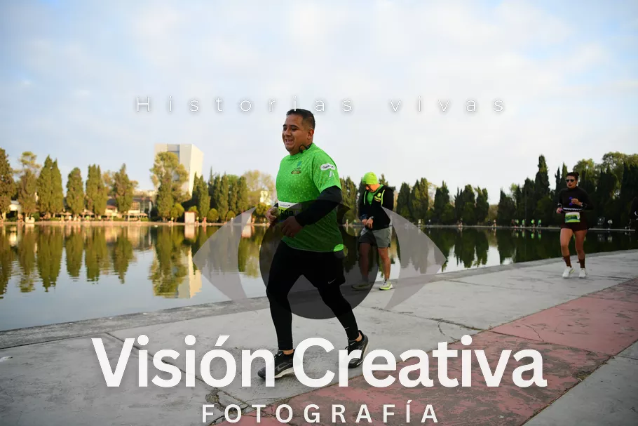 Foto del evento Shrek - CDMX 2026