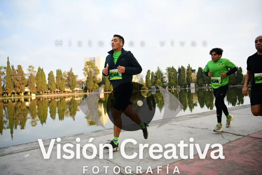 Foto del evento Shrek - CDMX 2026