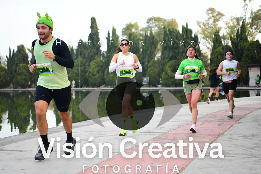 Foto del evento Shrek - CDMX 2026