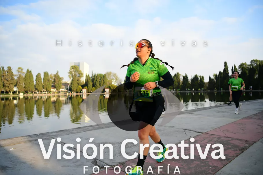 Foto del evento Shrek - CDMX 2026