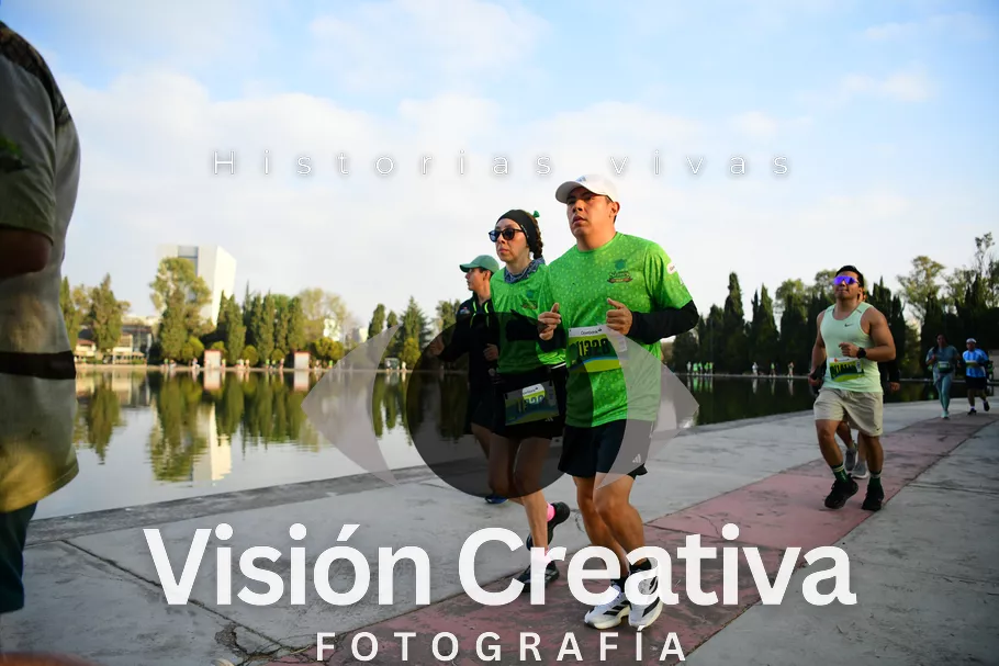 Foto del evento Shrek - CDMX 2026