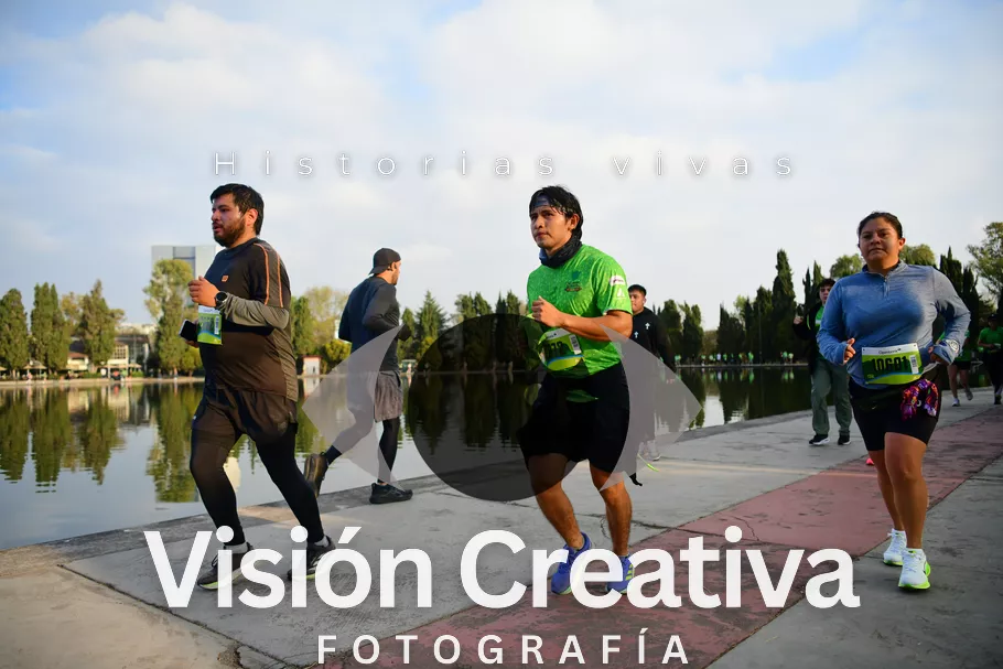 Foto del evento Shrek - CDMX 2026
