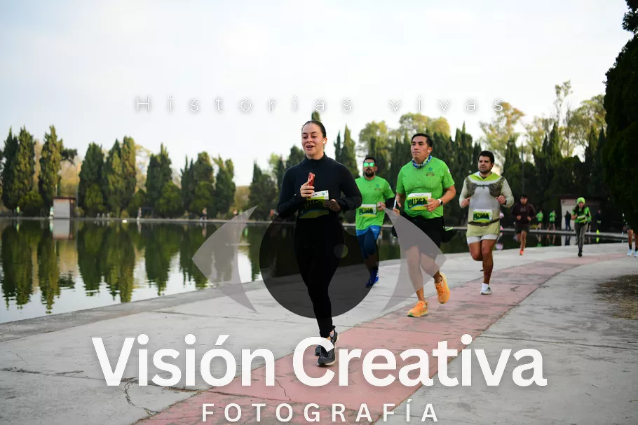 Foto del evento Shrek - CDMX 2026